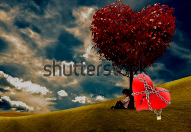 វិប្បត្តិស្នេហ៍ចាស់នៅក្រោមដើមជ្រៃ