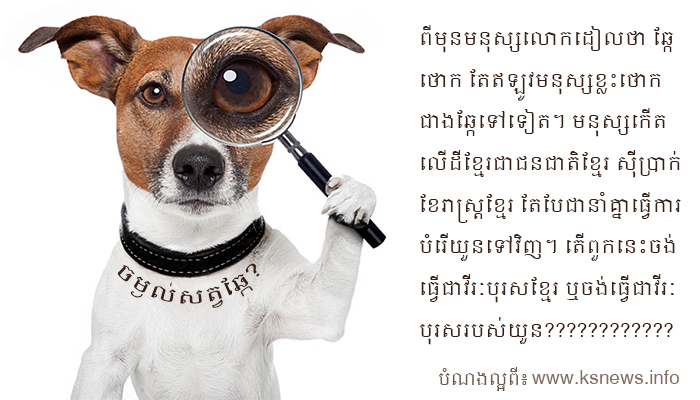 ចម្ងល់សត្វឆ្កែ