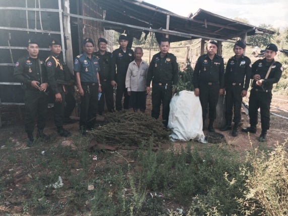 កងរាជអាវុធហត្ថ បង្ក្រាបបានកញ្ឆាស្រស់ និងក្រៀមមួយចំនួន និងឃាត់ខ្លួនម្ចាស់បញ្ជូនទៅតុលាការ