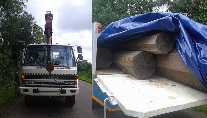 រថយន្តស្ទួចដឹកឈើដែលយក​ទៅ​ទម្លាក់នៅ​ផ្ទះលោក ភឹងចិន្តារ៉េត