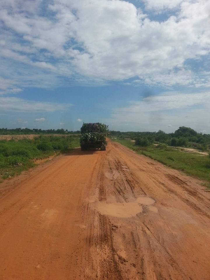 រថយន្តដឹកឈើរបស់ យិនថាវ ដែលគ្របស្លឹកឈើពីលើដាក់ឈើប្រណិតពីក្រោម