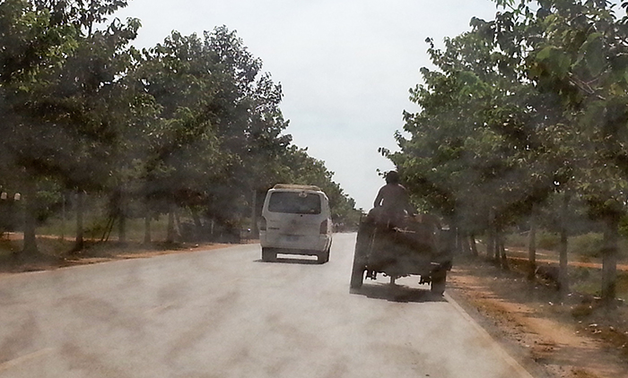 រឺមកដឹកឈើសុក្រម និង​រថយន្តសាន់យ៉ុងរបស់លោក យិនថាវ បើក​នាំផ្លូវ