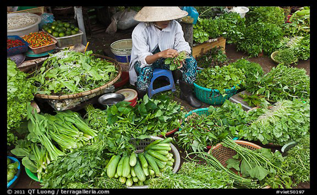 បន្ថែផ្លែឈើយួនមានបាក់តេរីបង្កគ្រោះថ្នាក់ដល់អ្នកបរិភោគ